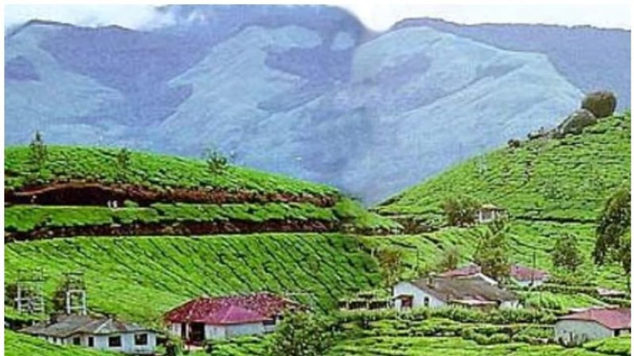 ഇടുക്കിയിൽ 840 വിദേശ വിനോദസഞ്ചാരികൾ നിരീക്ഷണത്തിൽ; 75 പേര് ഹൈ റിസ്ക് വിഭാഗത്തില് ഇടുക്കിയിൽ 840 വിദേശ വിനോദസഞ്ചാരികൾ നിരീക്ഷണത്തിൽ; 75 പേര് ഹൈ റിസ്ക് വിഭാഗത്തില്