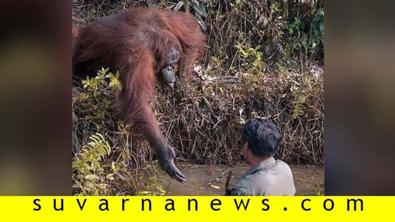 ಕೆಸರಲ್ಲಿ ಬಿದ್ದವನಿಗೆ ನೆರವಿನ ಕೈ ಚಾಚಿದ ಪೂರ್ವಜ: ಬೇಡವೆಂದ ಮನುಜ! ಕೆಸರಲ್ಲಿ ಬಿದ್ದವನಿಗೆ ನೆರವಿನ ಕೈ ಚಾಚಿದ ಪೂರ್ವಜ: ಬೇಡವೆಂದ ಮನುಜ!