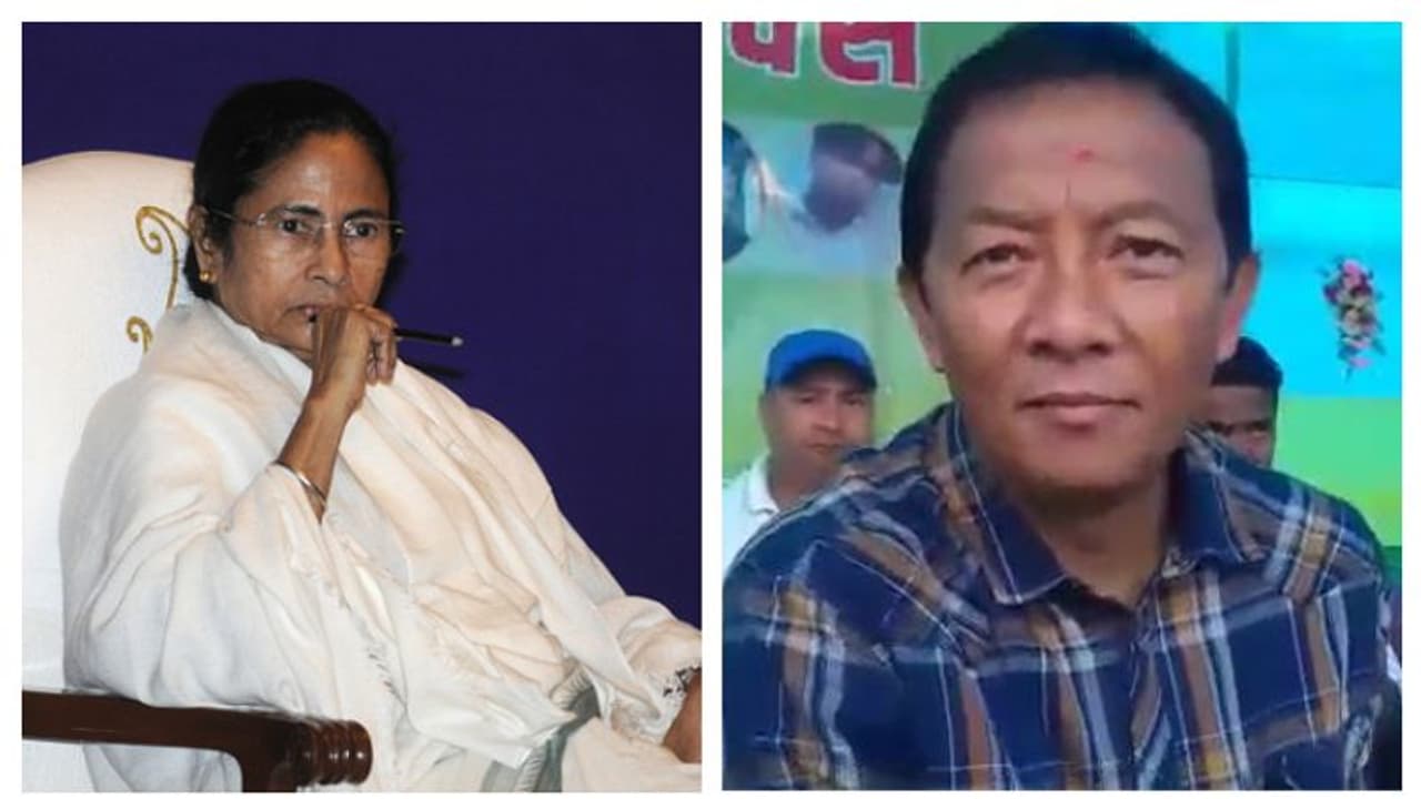 গুরুং প্রকাশ্যে আসতেই পাহাড়ের রাজনীতিতে জটিলতা, পরিস্থিতি সামাল দিতে বিনয়ের সঙ্গে বৈঠকে মমতা