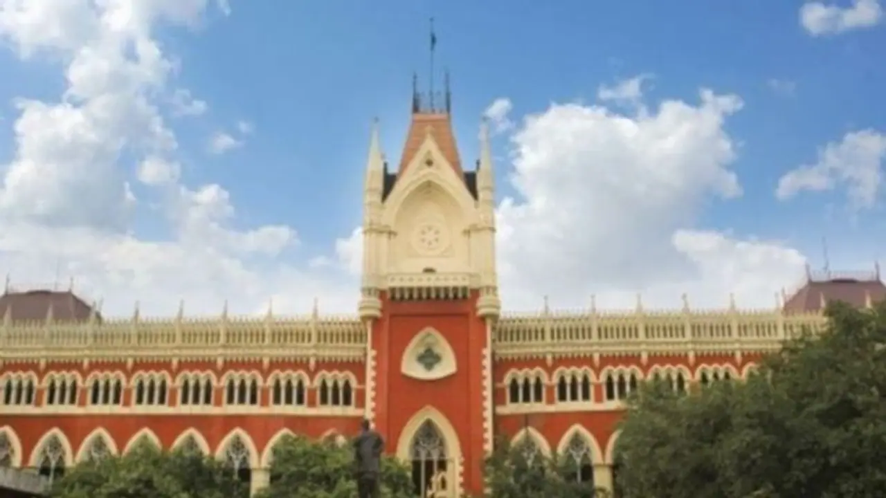 লকডাউনে বিকল্প পথ দেখাল হাইকোর্ট, এবার স্কাইপেই মিলবে মামলার রায়