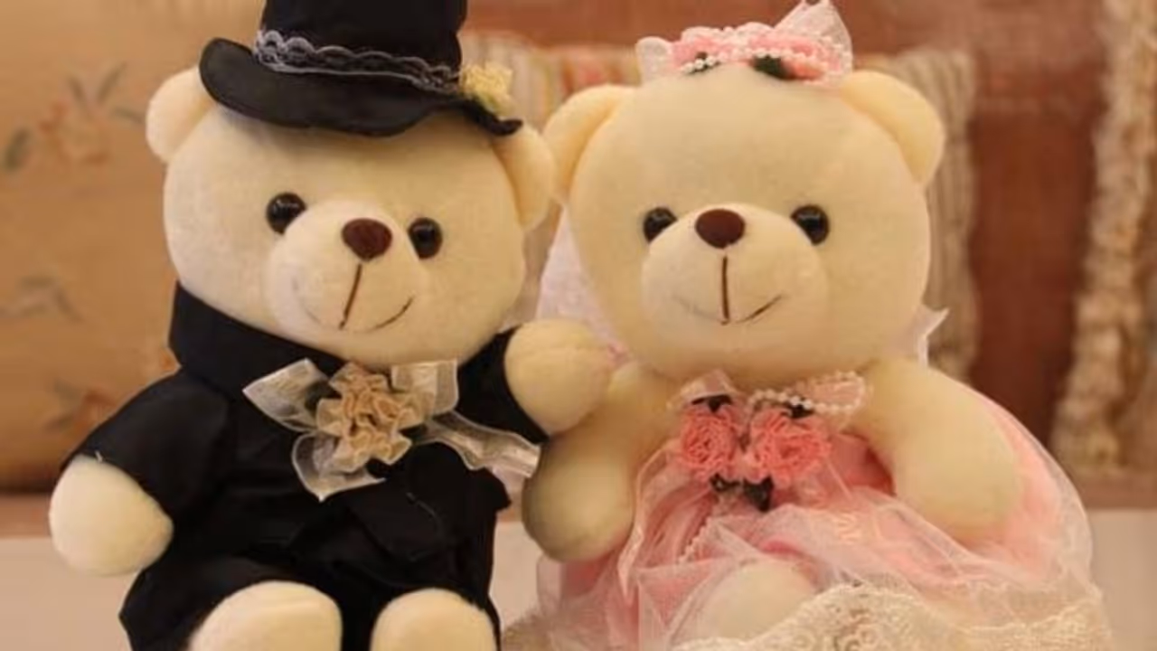 Valentine's Day : टेडी बीयर के संग आज मनाया जा रहा है प्रेम का त्योहार, जानें कैसे हुई शुरुआत Valentine's Day : टेडी बीयर के संग आज मनाया जा रहा है प्रेम का त्योहार, जानें कैसे हुई शुरुआत