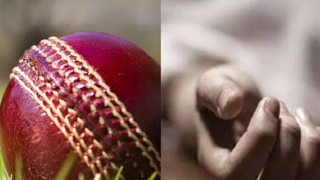 క్రికెట్ ఆడుతూ స్నేహితులతో గొడవ, బాలుడి హత్య: నుజ్జునుజ్జయిన తల