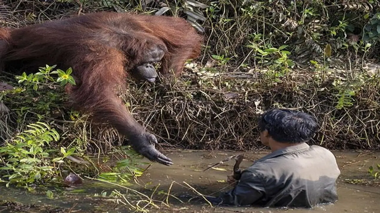 मौत से बचाने के लिए 'मौत' ने ही बढ़ाया हाथ, धीरे धीरे आया नजदीक और फिर.... मौत से बचाने के लिए 'मौत' ने ही बढ़ाया हाथ, धीरे धीरे आया नजदीक और फिर....