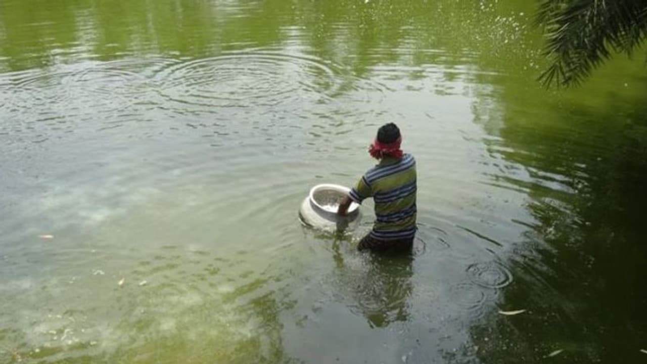 ശുദ്ധജലത്തില് മത്സ്യം വളര്ത്താനൊരുങ്ങുകയാണോ? ഈ അബദ്ധങ്ങള് പറ്റാതെനോക്കാം ശുദ്ധജലത്തില് മത്സ്യം വളര്ത്താനൊരുങ്ങുകയാണോ? ഈ അബദ്ധങ്ങള് പറ്റാതെനോക്കാം
