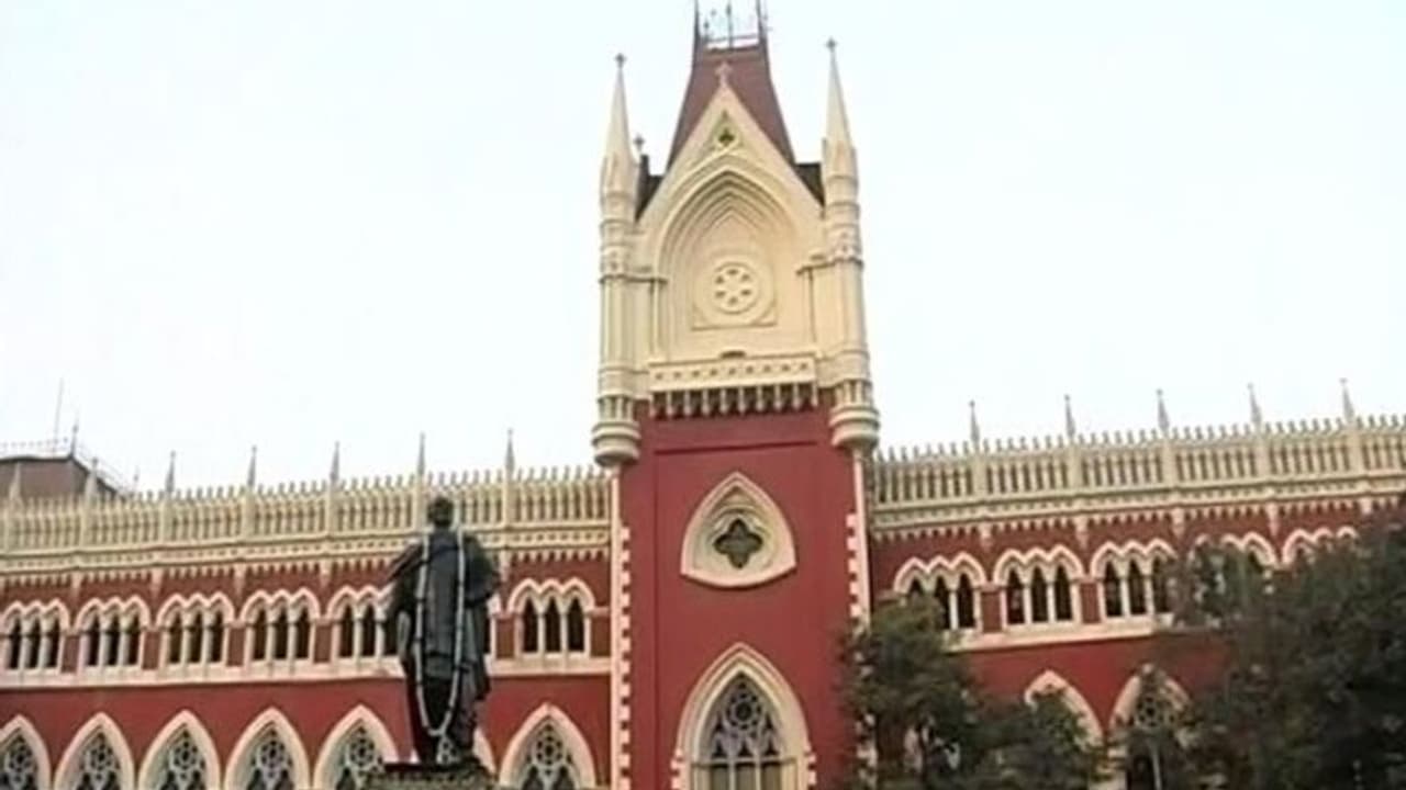 চিনা মাঞ্জা ব্যবহারে নিষেধাজ্ঞা জারি হাইকোর্টের, রাজ্যকে কড়া ব্যবস্থা নেওয়ার নির্দেশ