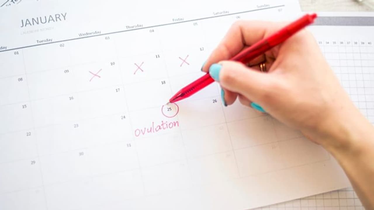 ഓവുലേഷൻ കൂട്ടുന്ന നാല് ഭക്ഷണങ്ങൾ ഓവുലേഷൻ കൂട്ടുന്ന നാല് ഭക്ഷണങ്ങൾ