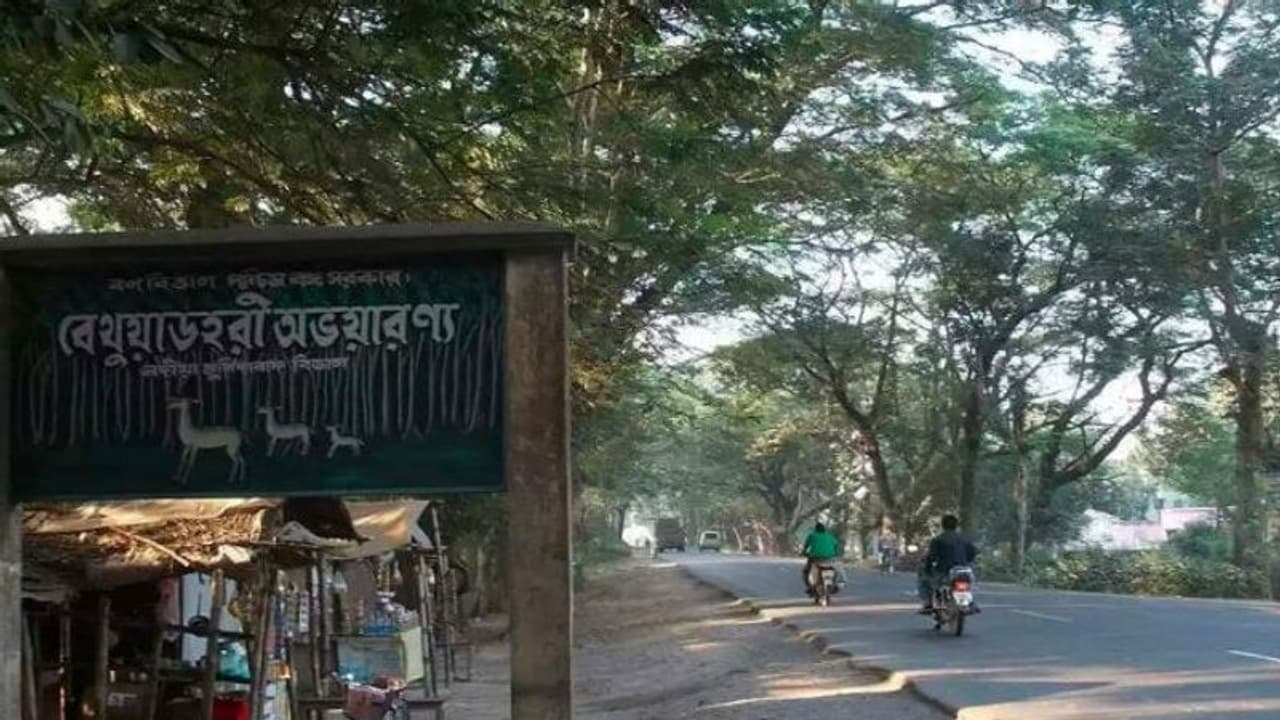 বেথুয়াডহরী অরণ্যের মাঝে একমুঠো অবসর, উইকএন্ড ট্যুরে নিয়ে নিন এই ডেস্টিনেশন