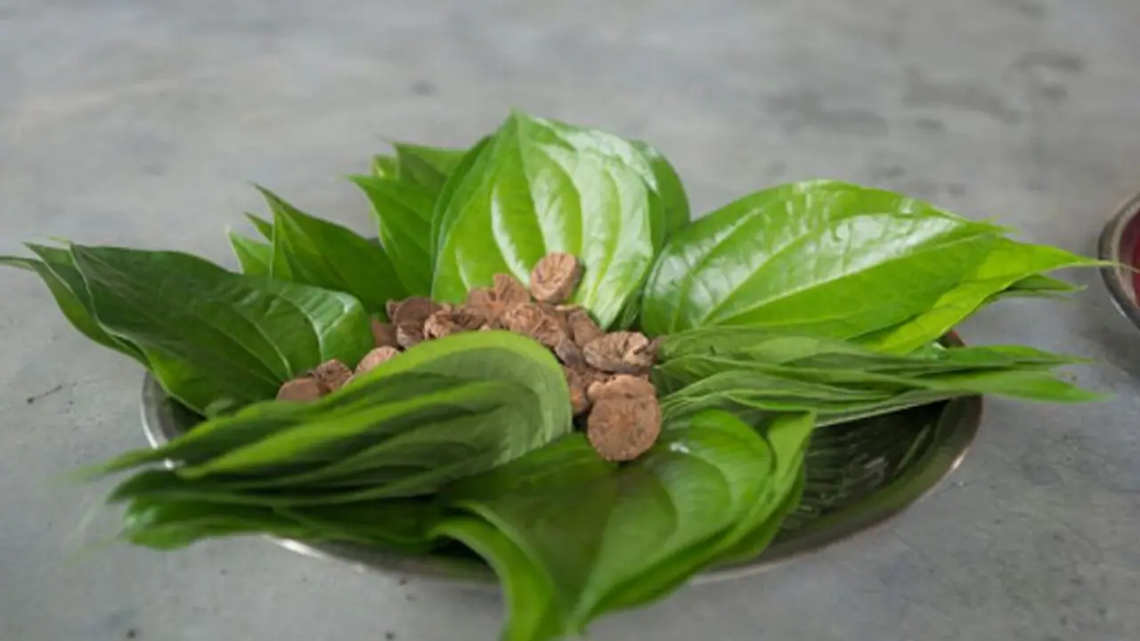 বাঙালির যে কোনও শুভ কাজ পান ছাড়া অসম্পূর্ণ, পুরাণ মতে জেনে নিন এর নিয়মগুলি