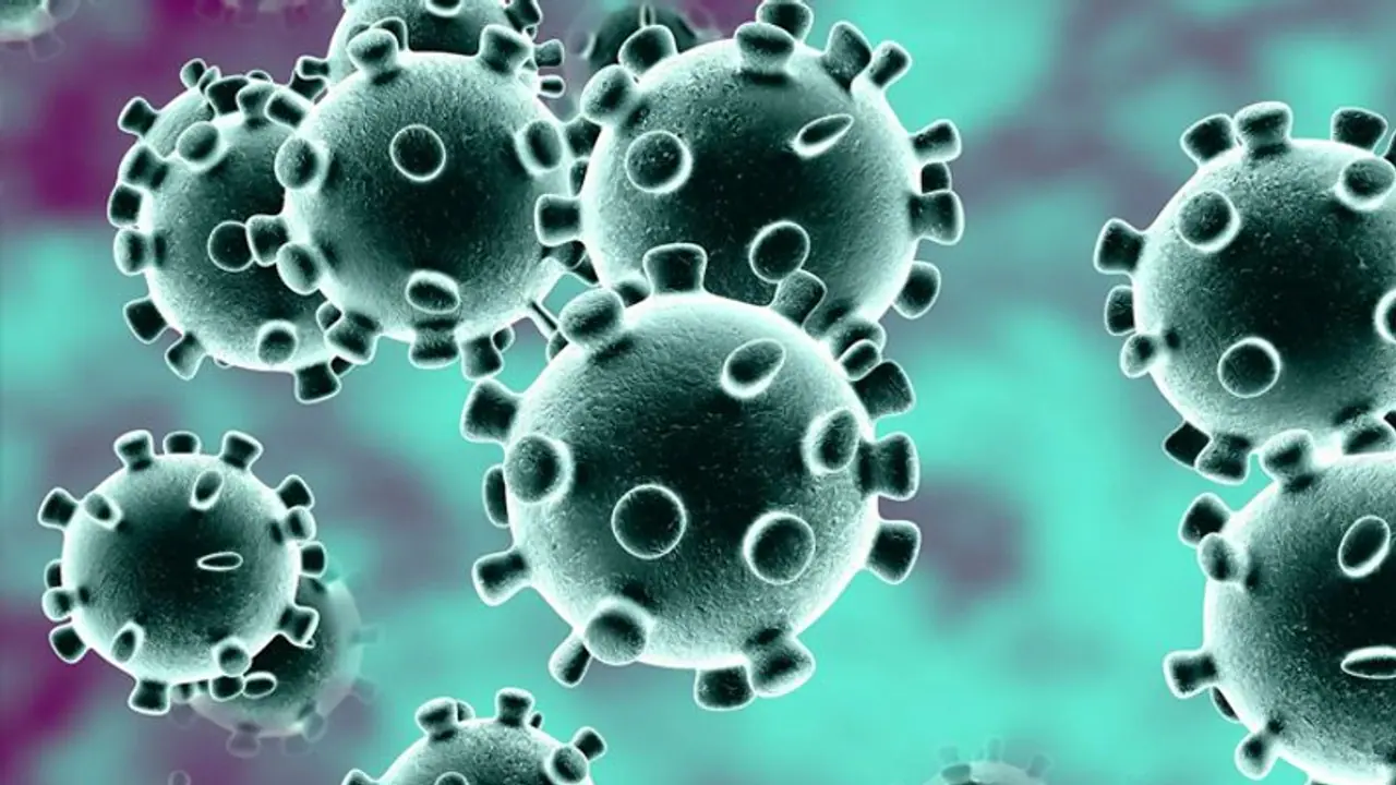 নয়া নামকরণ করোনা ভাইরাসের, রিপোর্ট বিশ্ব স্বাস্থ্য সংস্থার