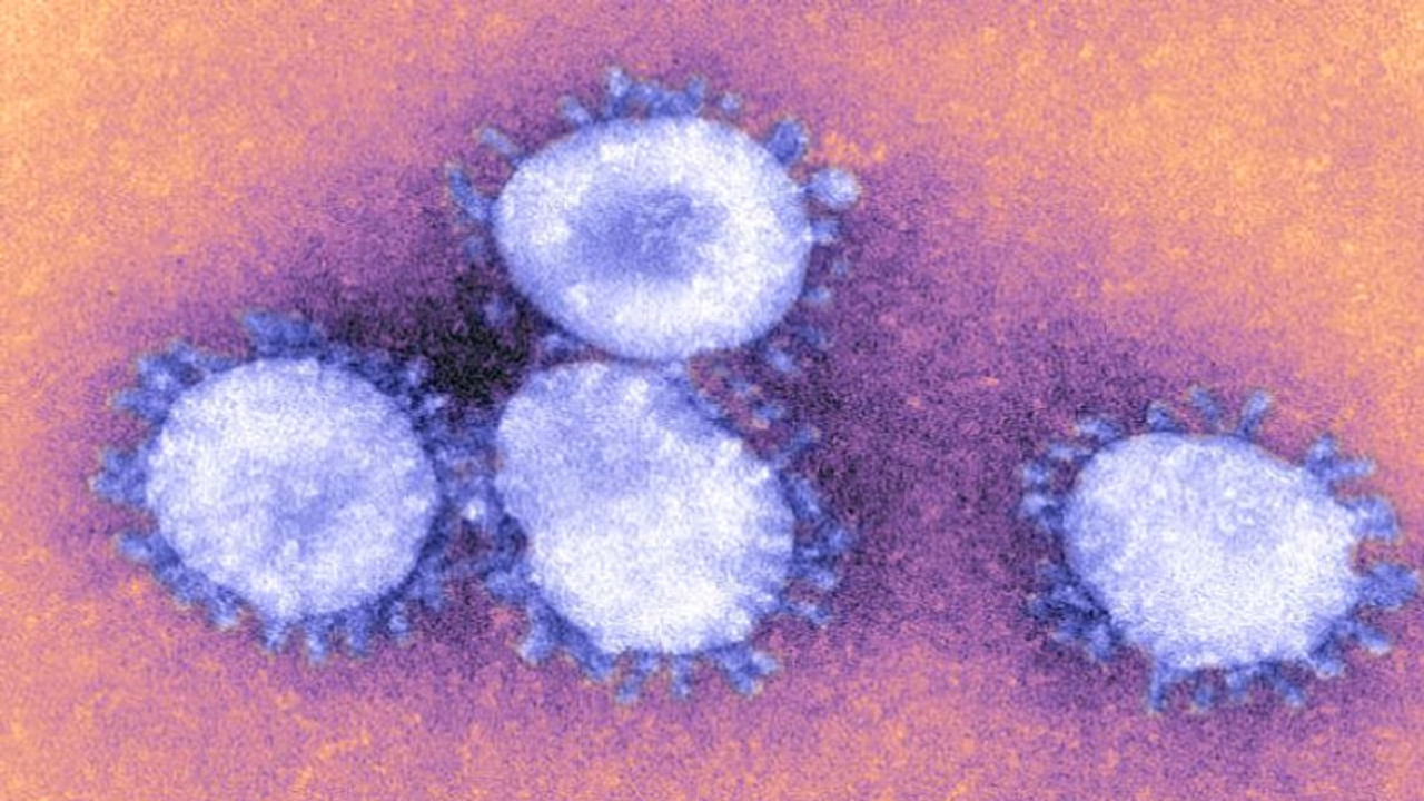 করোনা ভাইরাস এ আক্রান্ত হয়েছেন, আতঙ্কেই আত্মঘাতী অন্ধ্রের প্রৌঢ়