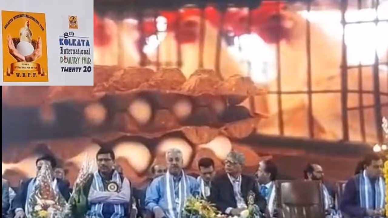 মুরগির মাংস ও ডিমের উৎপাদন বৃদ্ধি নিয়ে পদক্ষেপ, উদ্যোগ রাজ্য সরকারের মুরগির মাংস ও ডিমের উৎপাদন বৃদ্ধি নিয়ে পদক্ষেপ, উদ্যোগ রাজ্য সরকারের