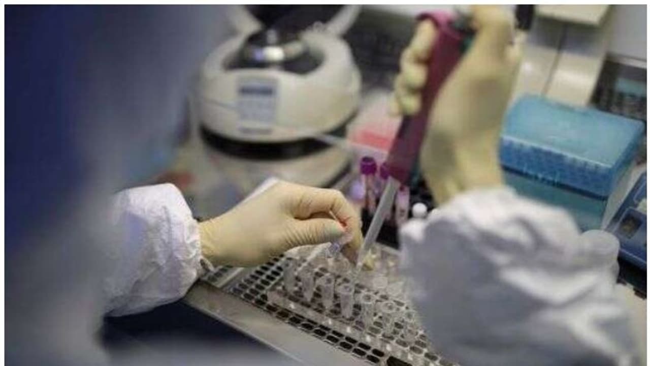 കൊറോണയെ തോല്പ്പിച്ച് കേരളം: ആലപ്പുഴയില് ചികിത്സയിലായിരുന്ന വിദ്യാര്ത്ഥി ആശുപത്രി വിട്ടു കൊറോണയെ തോല്പ്പിച്ച് കേരളം: ആലപ്പുഴയില് ചികിത്സയിലായിരുന്ന വിദ്യാര്ത്ഥി ആശുപത്രി വിട്ടു