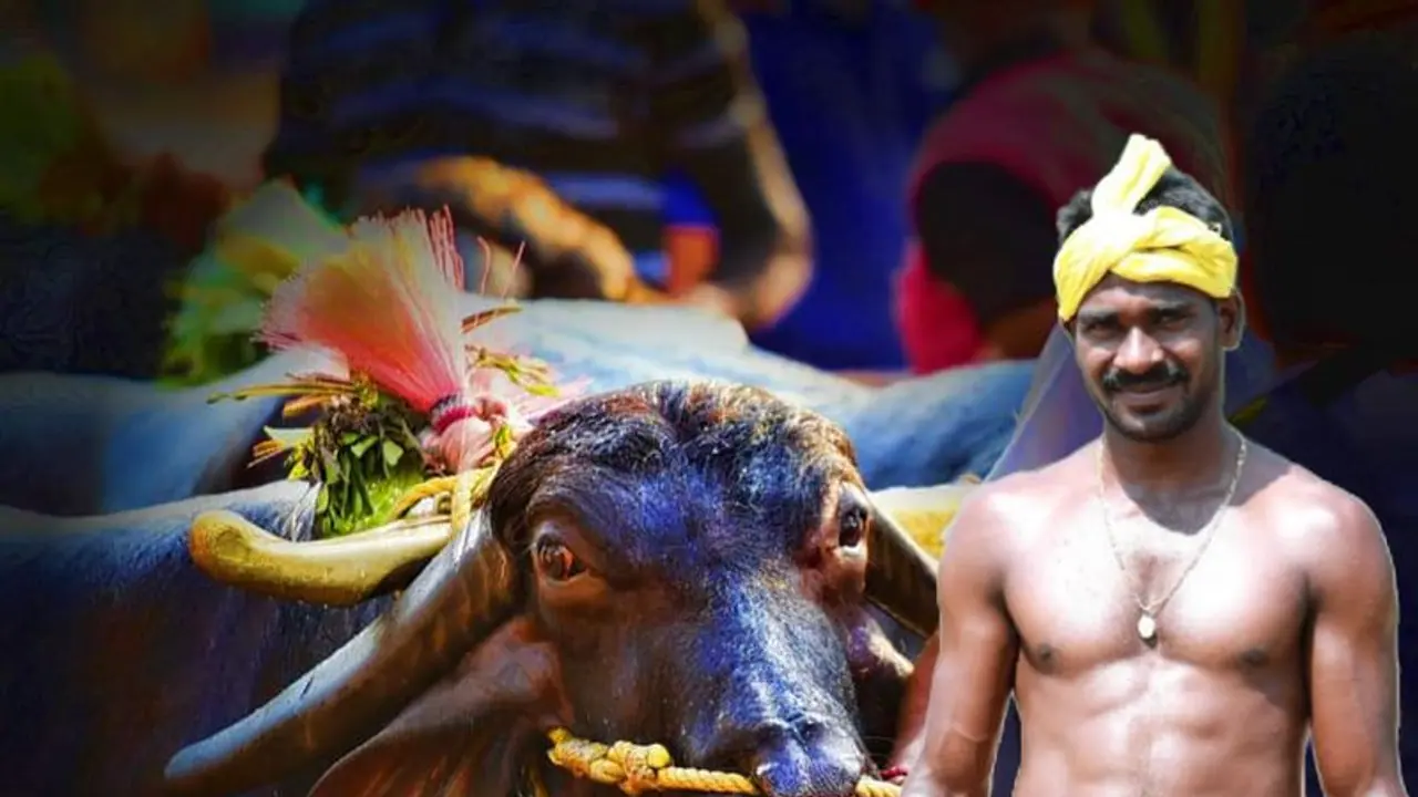 ರಿಜಿಸ್ಟರ್ ಆಯ್ತು ಕಂಬಳ ಸಿನಿಮಾ ಟೈಟಲ್..! ರಿಜಿಸ್ಟರ್ ಆಯ್ತು ಕಂಬಳ ಸಿನಿಮಾ ಟೈಟಲ್..!