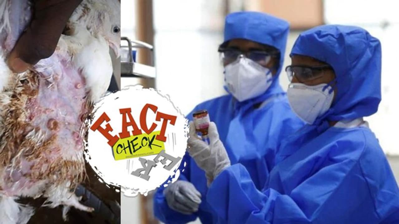 'ബെംഗലുരുവിലെ കൊറോണ ബാധിച്ച കോഴി'; പ്രചാരണങ്ങളിലെ വസ്തുതയെന്ത്?