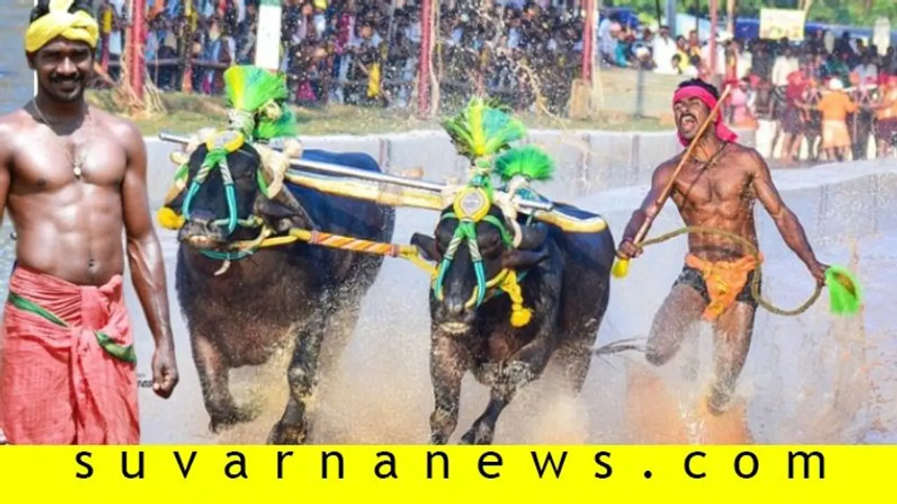 ಕಂಬಳವೀರನಿಗೆ ಮೆಚ್ಚುಗೆ ಮಹಾಪೂರ: ಬಾಹುಬಲಿ 2ರಲ್ಲೂ ನಟಿಸಿದ್ದ ಶ್ರೀನಿವಾಸ! ಕಂಬಳವೀರನಿಗೆ ಮೆಚ್ಚುಗೆ ಮಹಾಪೂರ: ಬಾಹುಬಲಿ 2ರಲ್ಲೂ ನಟಿಸಿದ್ದ ಶ್ರೀನಿವಾಸ!