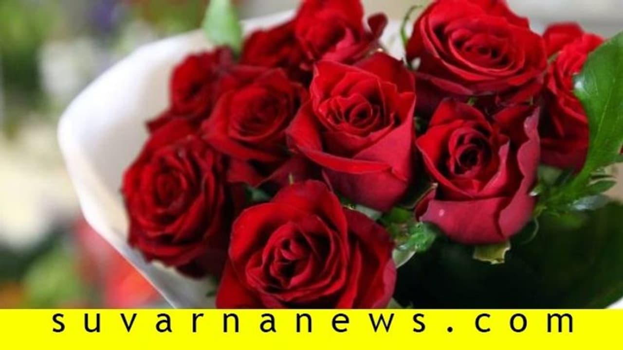 ಪ್ರೇಮಿಗಳ ದಿನ: 10 ಲಕ್ಷ ಗುಲಾಬಿ ಹೂವಿಗೆ ಬೇಡಿಕೆ, ಬೆಲೆಯೂ ಏರಿಕೆ ಪ್ರೇಮಿಗಳ ದಿನ: 10 ಲಕ್ಷ ಗುಲಾಬಿ ಹೂವಿಗೆ ಬೇಡಿಕೆ, ಬೆಲೆಯೂ ಏರಿಕೆ