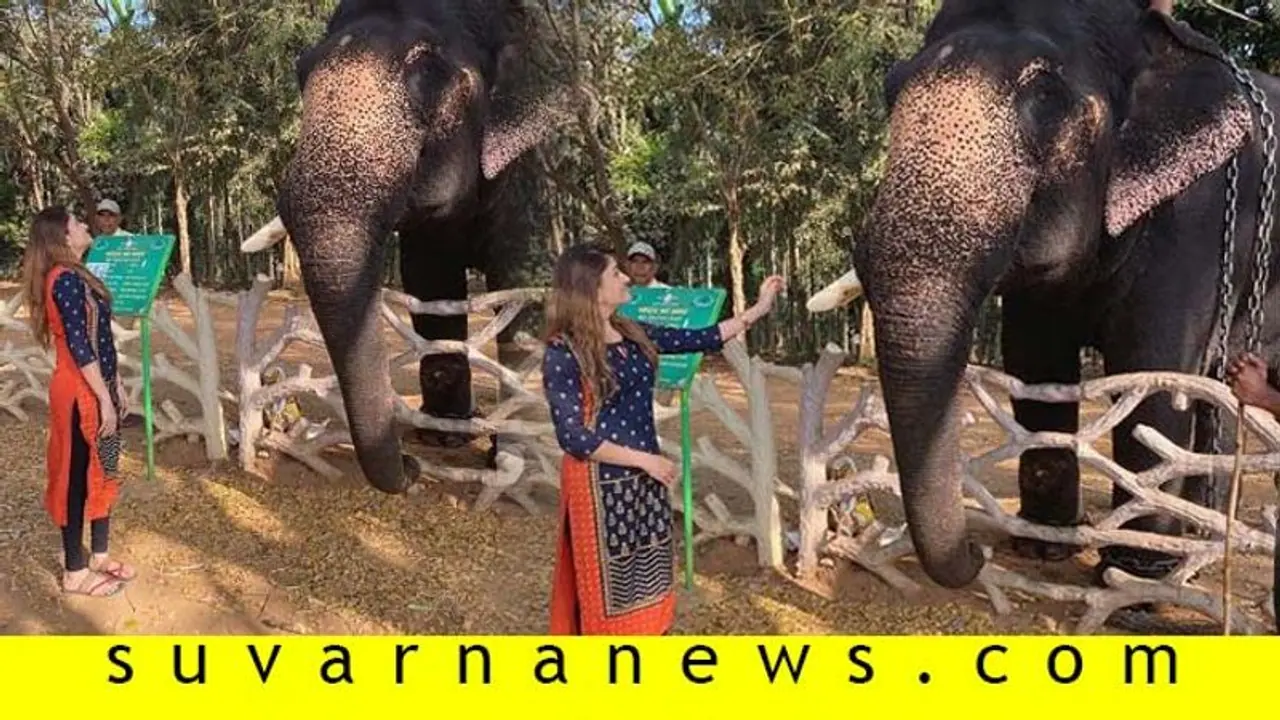 Valentines Dayಗೆ 'ಡುಮ್ಮ ಬಾಯ್‌ಫ್ರೆಂಡ್' ಪರಿಚಯಿಸಿದ ಕಾರುಣ್ಯ ರಾಮ್‌!