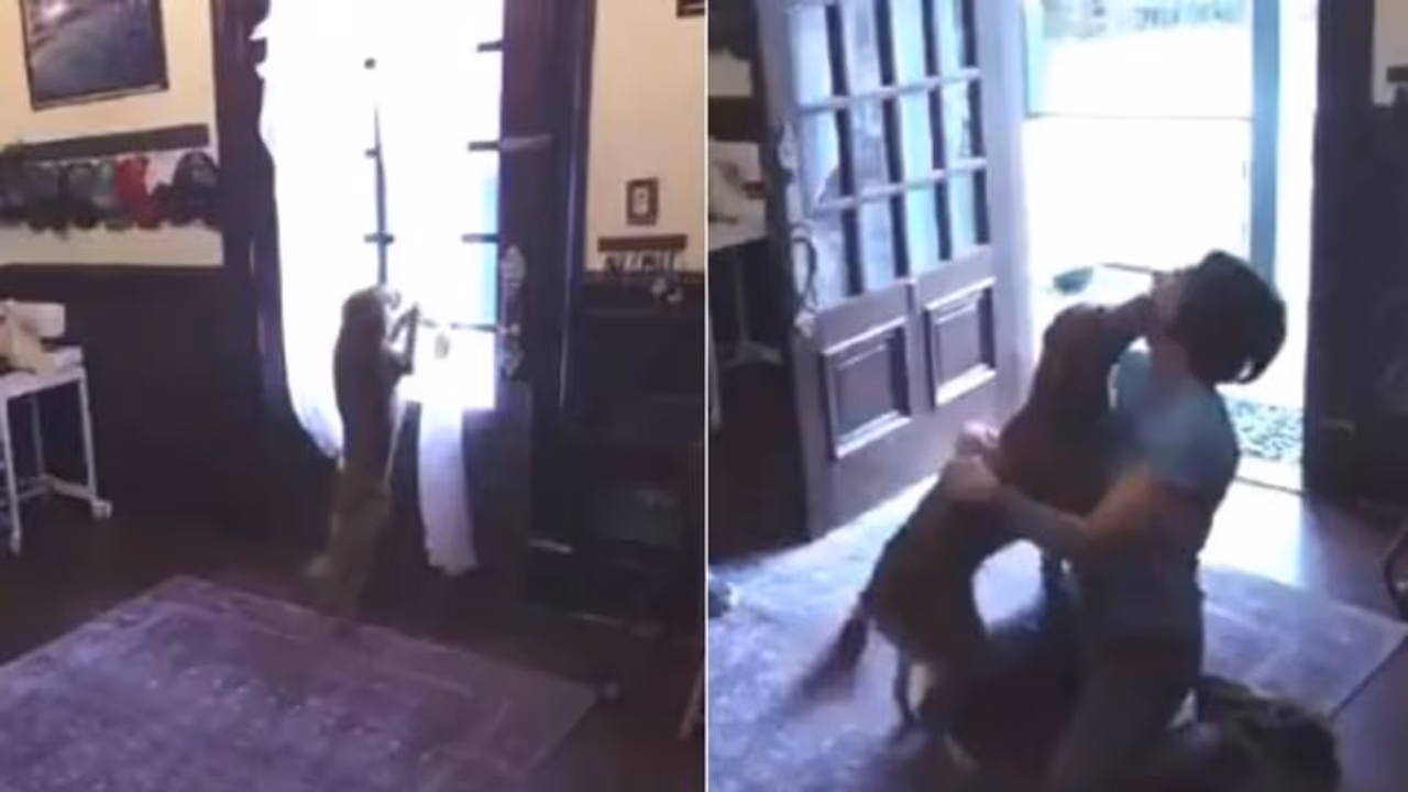 ആരാണ് കൂടുതല്‍ 'ഹാപ്പി', ബഹിരാകാശത്തുനിന്ന് തിരിച്ചെത്തിയ ക്രിസ്റ്റീനയെ കണ്ട വളര്‍ത്തുനായയുടെ ആഹ്ളാദം