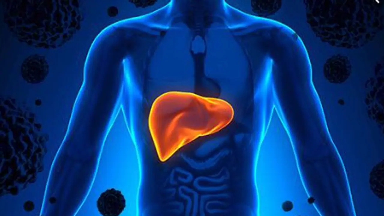 കരളിന്റെ ആരോഗ്യത്തിന് ശ്രദ്ധിക്കേണ്ട അഞ്ച് കാര്യങ്ങൾ കരളിന്റെ ആരോഗ്യത്തിന് ശ്രദ്ധിക്കേണ്ട അഞ്ച് കാര്യങ്ങൾ