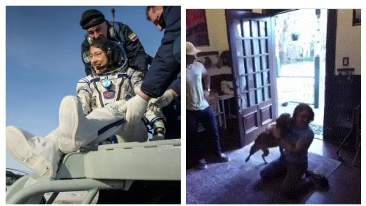 মহাকাশ থেকে দীর্ঘদিন পর ফিরেছেন মনিব, নেচেই ভাইরাল হল পোষ্য কুকুর মহাকাশ থেকে দীর্ঘদিন পর ফিরেছেন মনিব, নেচেই ভাইরাল হল পোষ্য কুকুর