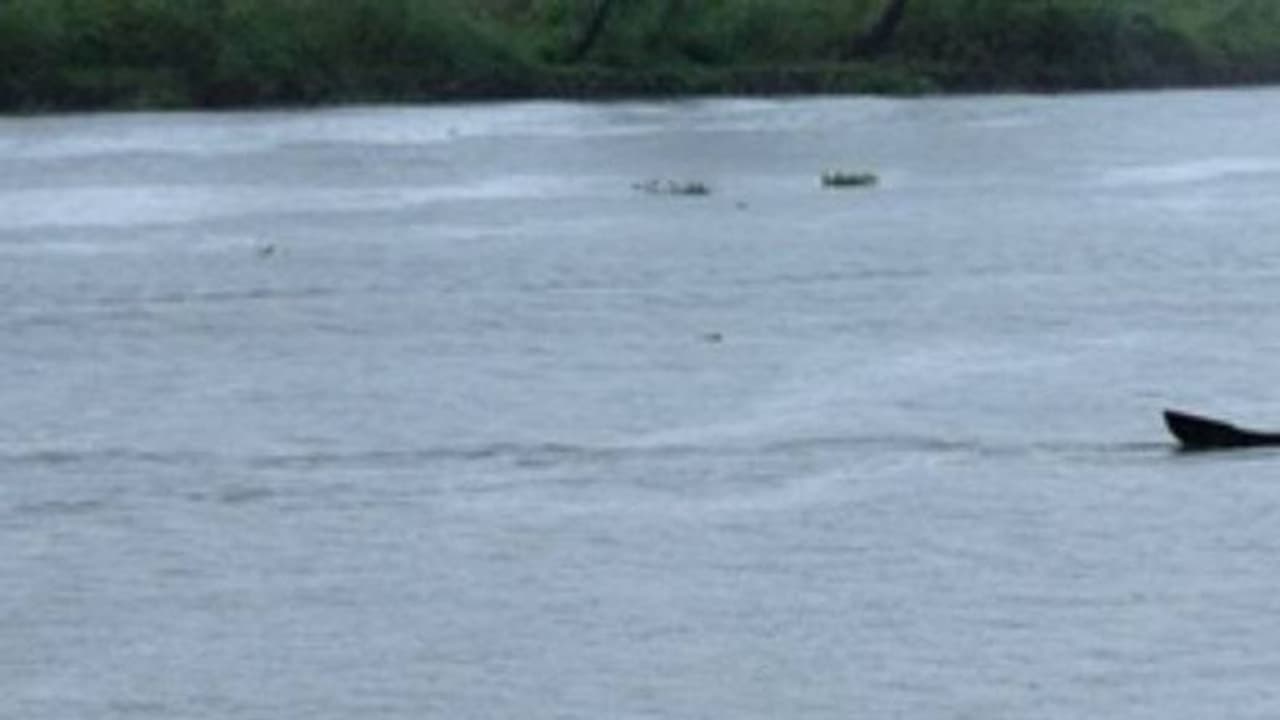 പൂമീൻപൊഴിയിലെ വെള്ളത്തിന് നിറവ്യത്യാസം; പ്രദേശവാസികൾ ആശങ്കയിൽ പൂമീൻപൊഴിയിലെ വെള്ളത്തിന് നിറവ്യത്യാസം; പ്രദേശവാസികൾ ആശങ്കയിൽ