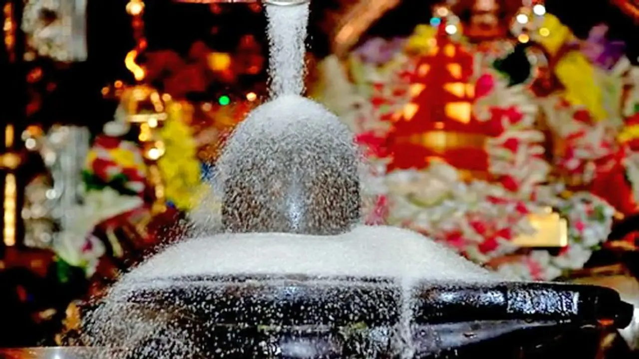 महाशिवरात्रि: भगवान शिव को चावल चढ़ाने से होता है धन लाभ, शिवपुराण में लिखे हैं ऐसे ही आसान उपाय महाशिवरात्रि: भगवान शिव को चावल चढ़ाने से होता है धन लाभ, शिवपुराण में लिखे हैं ऐसे ही आसान उपाय