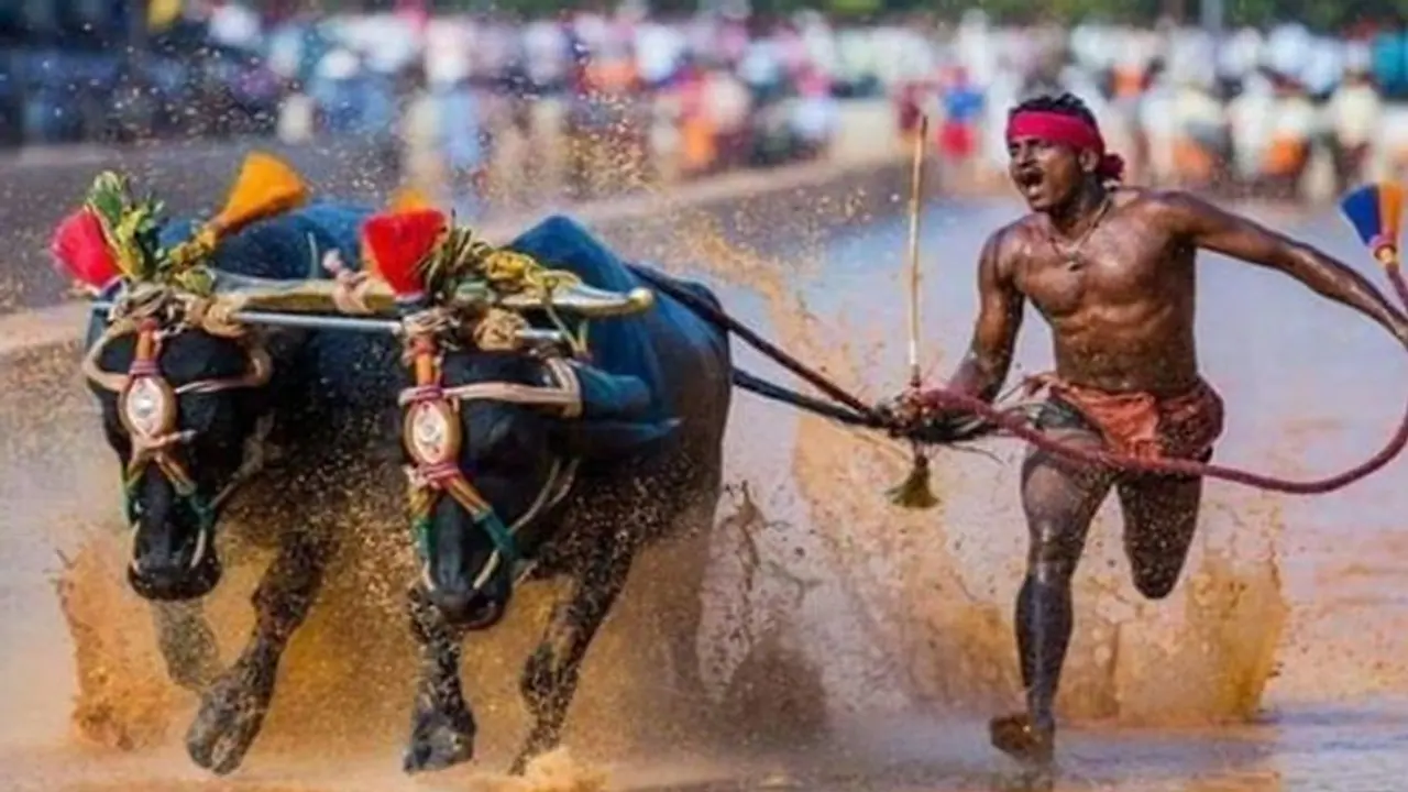 सिर्फ 9.55 सेकेंड में 100 मीटर दौड़कर छा गया यह किसान, उसैन बोल्ट के नाम है 9.58 सेकेंड में 100 मी. का रिकॉर्ड सिर्फ 9.55 सेकेंड में 100 मीटर दौड़कर छा गया यह किसान, उसैन बोल्ट के नाम है 9.58 सेकेंड में 100 मी. का रिकॉर्ड