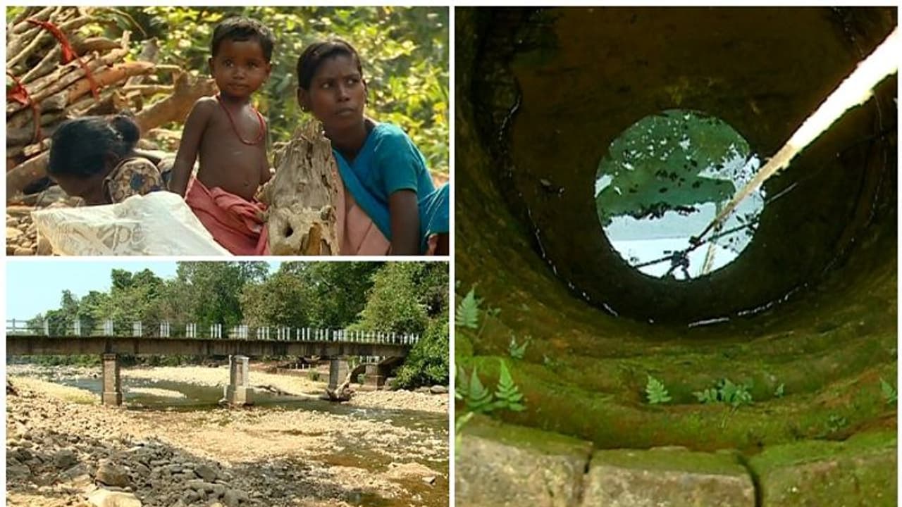 വെള്ളമില്ല, വേനൽ കടുക്കും മുമ്പ് പുഴക്കരയിൽ താമസം തുടങ്ങി ആറളം ഫാമിലെ ആദിവാസികൾ വെള്ളമില്ല, വേനൽ കടുക്കും മുമ്പ് പുഴക്കരയിൽ താമസം തുടങ്ങി ആറളം ഫാമിലെ ആദിവാസികൾ