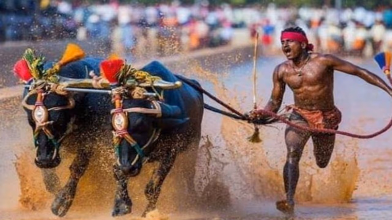Karnataka’s Usain Bolt: Cannot be compared to world champion, I’m only running in a paddy field