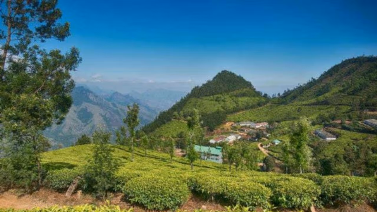 ആകാശക്കാഴ്ച ഒരുക്കി മൂന്നാറിൽ ഹെലികോപ്ടര്‍ സര്‍വ്വീസ് ആരംഭിക്കുന്നു