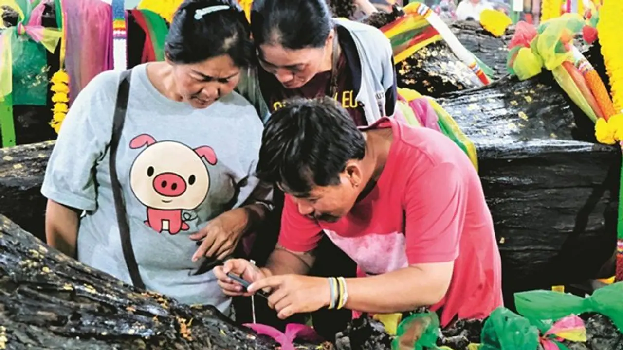 रस्म के नाम पर सरेआम दे दी बेजुबान की बलि, पेट में पल रहा था मासूम रस्म के नाम पर सरेआम दे दी बेजुबान की बलि, पेट में पल रहा था मासूम