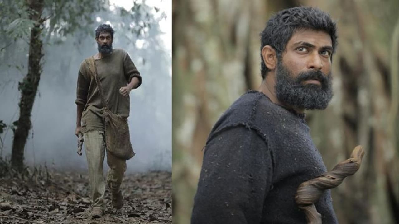 4 అడవులు, 16 ఏనుగులు.. బాహుబలి చాలా ఈజీ.. రాజమౌళిపై రానా కామెంట్స్!