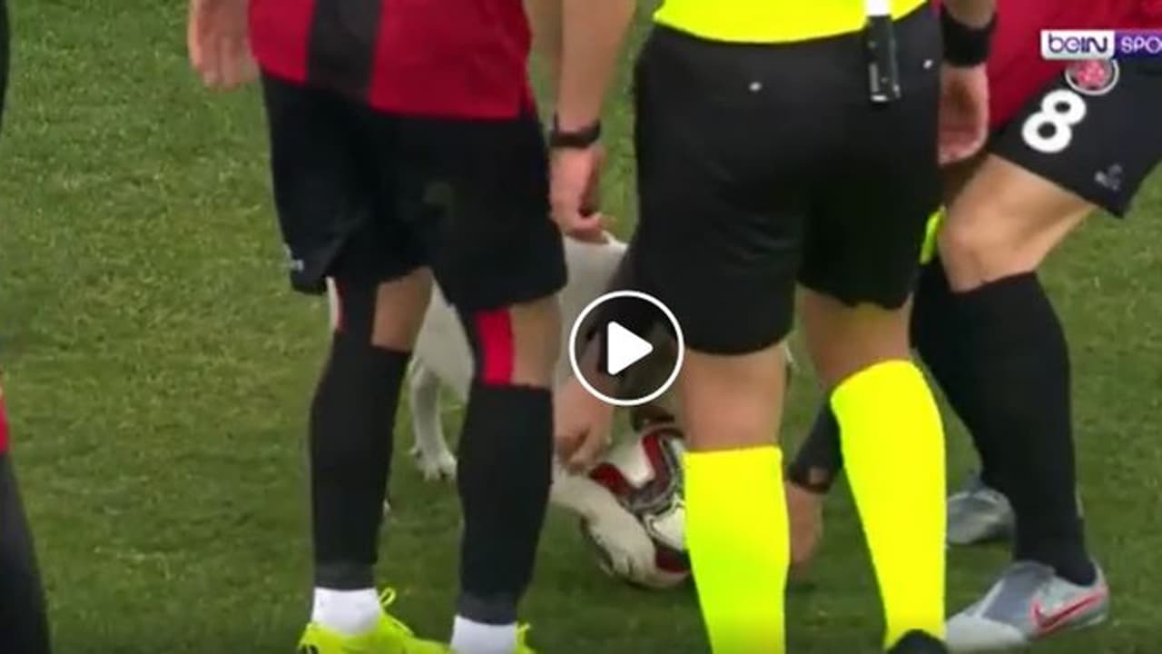 ആര്‍ക്കും പാസില്ല; ഫുട്ബോള്‍ മത്സരം നടക്കുന്നതിനിടെ ഒറ്റക്ക് ഗോളടിക്കാനായി ഗ്രൗണ്ടിലേക്ക് ഓടിയിറങ്ങിയ അതിഥി