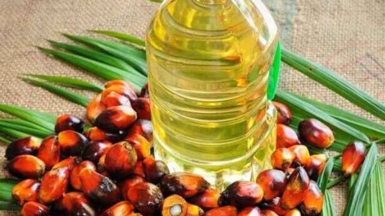 മലേഷ്യയോട് പ്രതികാരം; ഇന്തോനേഷ്യയിൽ നിന്ന് പത്ത് ലക്ഷം ടൺ പാമോയിൽ ഇറക്കുമതിക്ക് അംഗീകാരം നല്കി ഇന്ത്യ മലേഷ്യയോട് പ്രതികാരം; ഇന്തോനേഷ്യയിൽ നിന്ന് പത്ത് ലക്ഷം ടൺ പാമോയിൽ ഇറക്കുമതിക്ക് അംഗീകാരം നല്കി ഇന്ത്യ