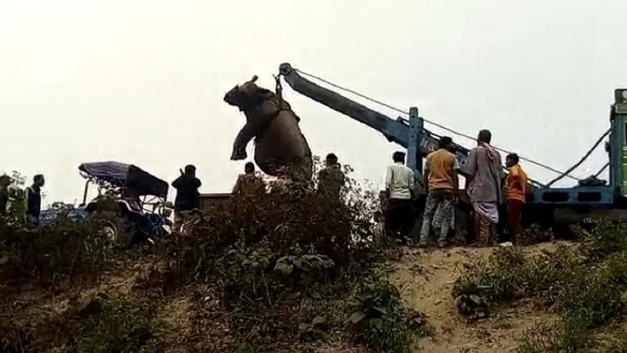 Anthrax : కేరళలో ఆంత్రాక్స్ కలకలం.. వరుసగా చనిపోతున్న అడవి పందులు.. వ్యాధి లక్షణాలు ఇవే! Anthrax : కేరళలో ఆంత్రాక్స్ కలకలం.. వరుసగా చనిపోతున్న అడవి పందులు.. వ్యాధి లక్షణాలు ఇవే!