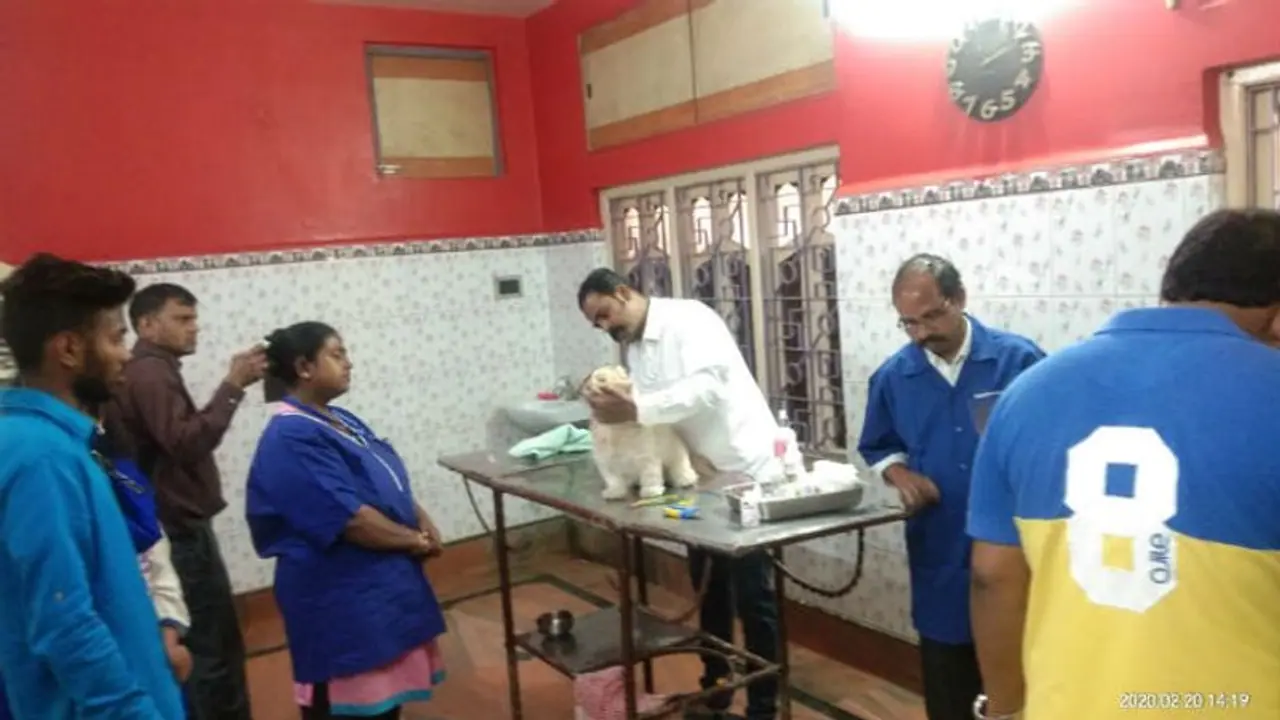 পোষ্যদের জন্য গোটা একটা দিন, চিকিৎসকের চেম্বার উপচে পড়ল উৎসাহীদের ভিড়ে পোষ্যদের জন্য গোটা একটা দিন, চিকিৎসকের চেম্বার উপচে পড়ল উৎসাহীদের ভিড়ে