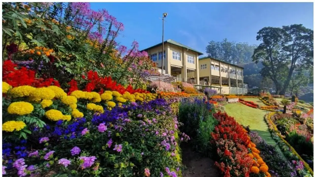 മികച്ച പൂന്തോട്ടങ്ങളില് മൂന്നാറിലെ റെയില്വേ ഗാര്ഡനും, നേട്ടമായി ബിബിസി അംഗീകാരം മികച്ച പൂന്തോട്ടങ്ങളില് മൂന്നാറിലെ റെയില്വേ ഗാര്ഡനും, നേട്ടമായി ബിബിസി അംഗീകാരം