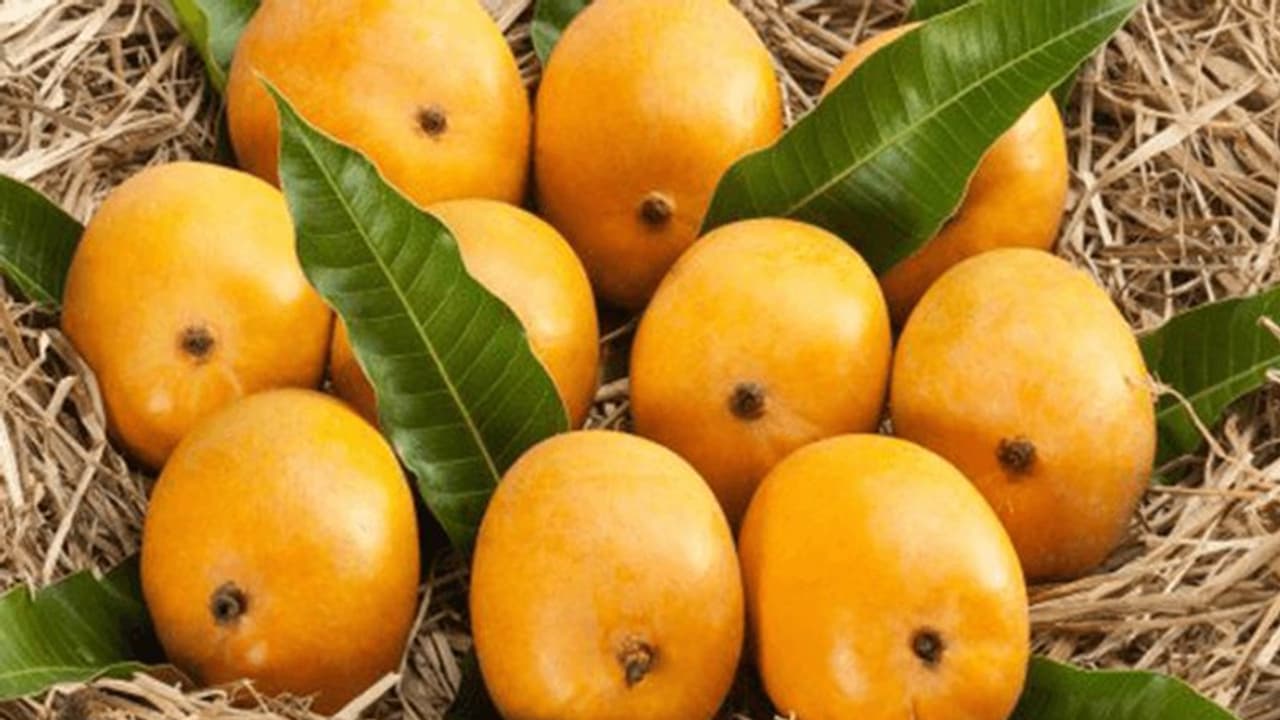 করোনার থাবায় এবার ভেস্তে যাচ্ছে অমৃত যোগ, গৃহবন্দি বৈশাখে আম হারা জনতা