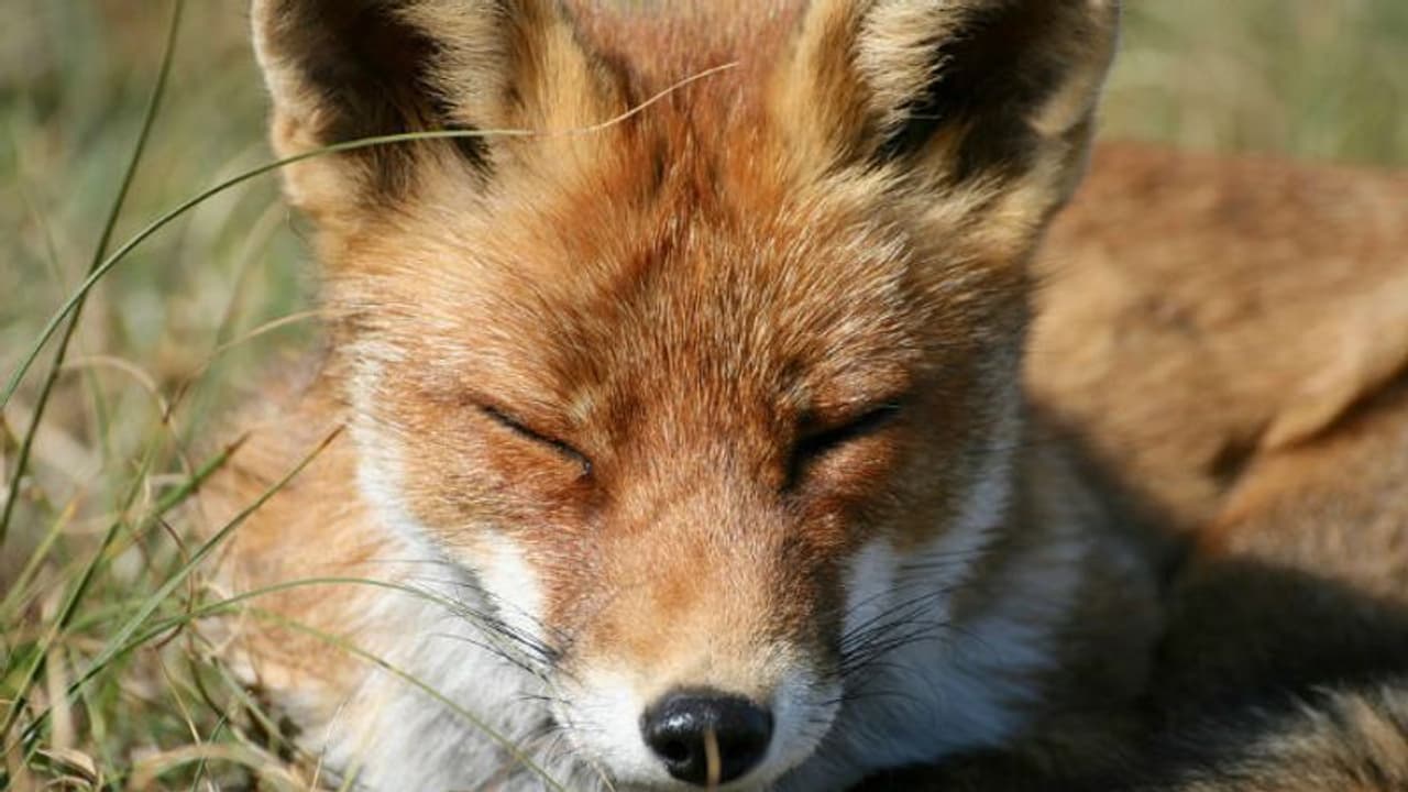 'എല്ലാവരും ഇതുപോലെ ഒരുനാള് മണ്ണിലലിയും'; ചിന്തിപ്പിക്കുന്ന വീഡിയോ... 'എല്ലാവരും ഇതുപോലെ ഒരുനാള് മണ്ണിലലിയും'; ചിന്തിപ്പിക്കുന്ന വീഡിയോ...