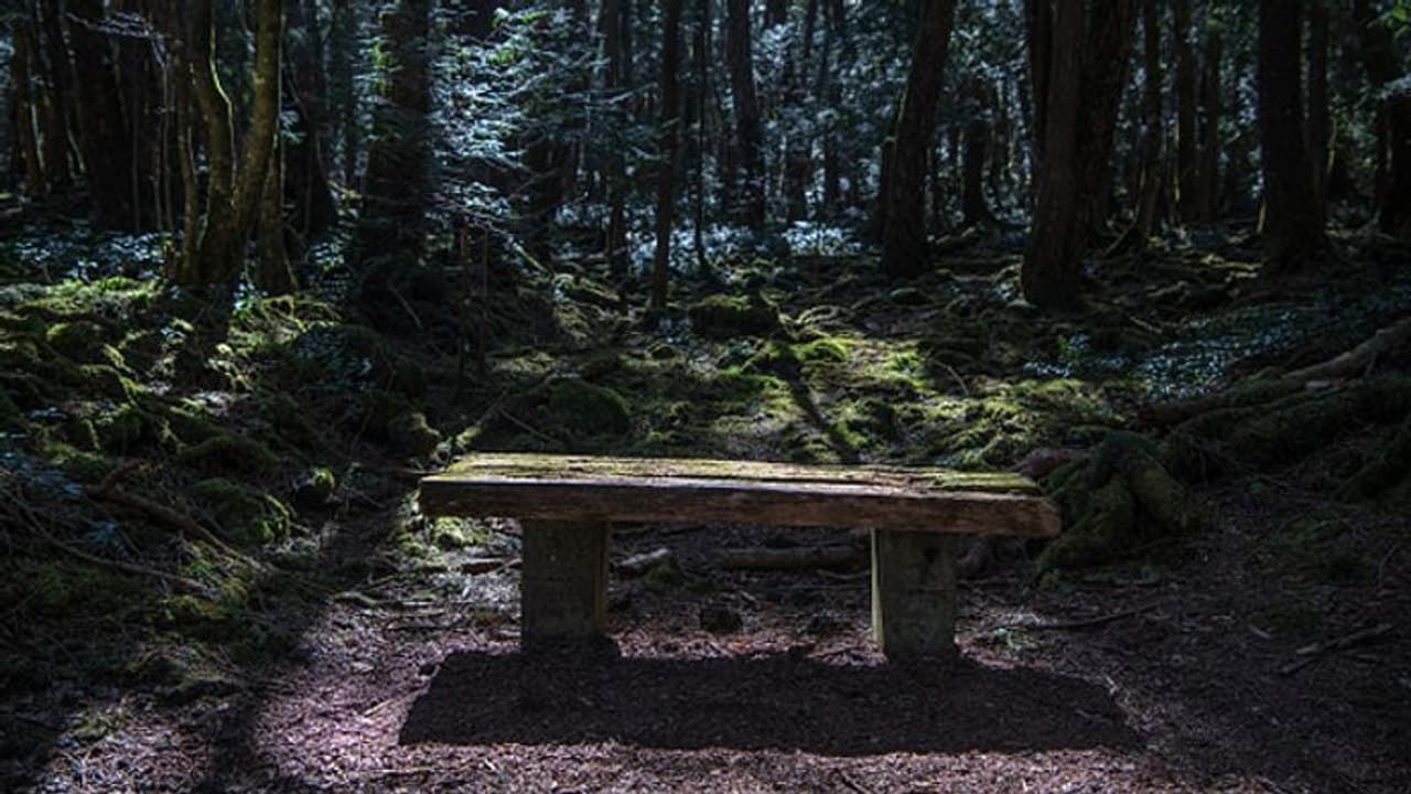 മരണത്തിന്റെ മണമുള്ള 'ആത്മഹത്യാ വനം'; ഇവിടെയെത്തിയാല് കോമ്പസും മൊബൈൽ ഫോണുകളും പ്രവര്ത്തിക്കാതാകും? മരണത്തിന്റെ മണമുള്ള 'ആത്മഹത്യാ വനം'; ഇവിടെയെത്തിയാല് കോമ്പസും മൊബൈൽ ഫോണുകളും പ്രവര്ത്തിക്കാതാകും?