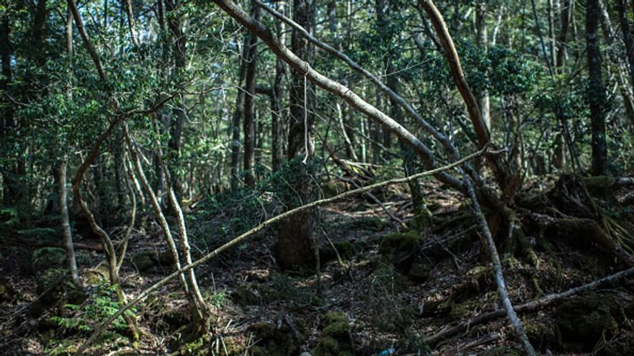 അനുവാദമില്ലാതെ ഉൾക്കാട്ടിലെത്തിയ നാല് യുവാക്കള്‍ക്കെതിരെ കേസ്