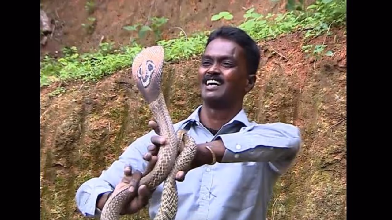 ഒരുമാസത്തിനിടെ രണ്ടാം തവണ പാമ്പുകടിയേറ്റ് ഉത്രയുടെ മരണം; വാവാ സുരേഷിന് പറയാനുള്ളത് ഒരുമാസത്തിനിടെ രണ്ടാം തവണ പാമ്പുകടിയേറ്റ് ഉത്രയുടെ മരണം; വാവാ സുരേഷിന് പറയാനുള്ളത്