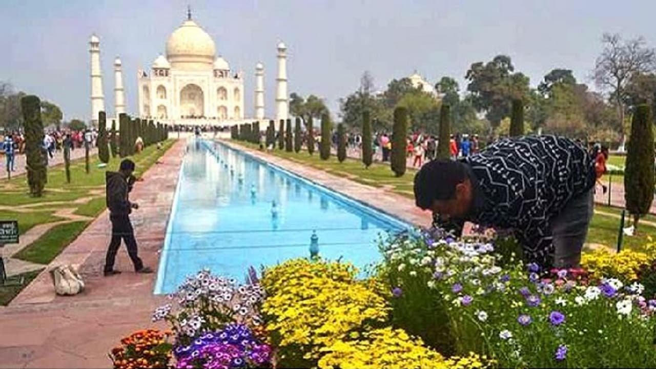 ದೇಶದ ಎಲ್ಲಾ ಸ್ಮಾರಕಗಳು ಮೇ 15ರವರೆಗೆ ಬಂದ್ ದೇಶದ ಎಲ್ಲಾ ಸ್ಮಾರಕಗಳು ಮೇ 15ರವರೆಗೆ ಬಂದ್