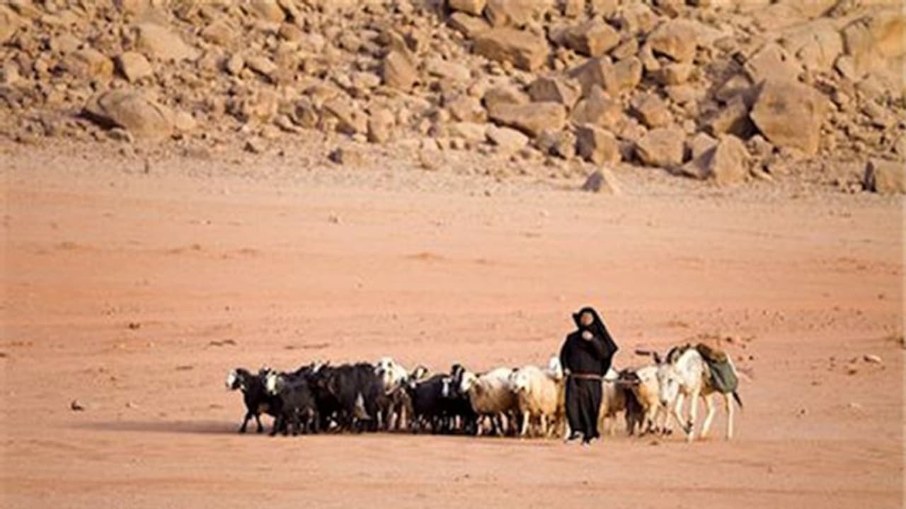 ആടുജീവിതത്തിന് ഒരു അറുതിയുമില്ല; ഏറ്റവും ഒടുവിൽ രക്ഷപ്പെട്ടത് വിതുര സ്വദേശി ആടുജീവിതത്തിന് ഒരു അറുതിയുമില്ല; ഏറ്റവും ഒടുവിൽ രക്ഷപ്പെട്ടത് വിതുര സ്വദേശി