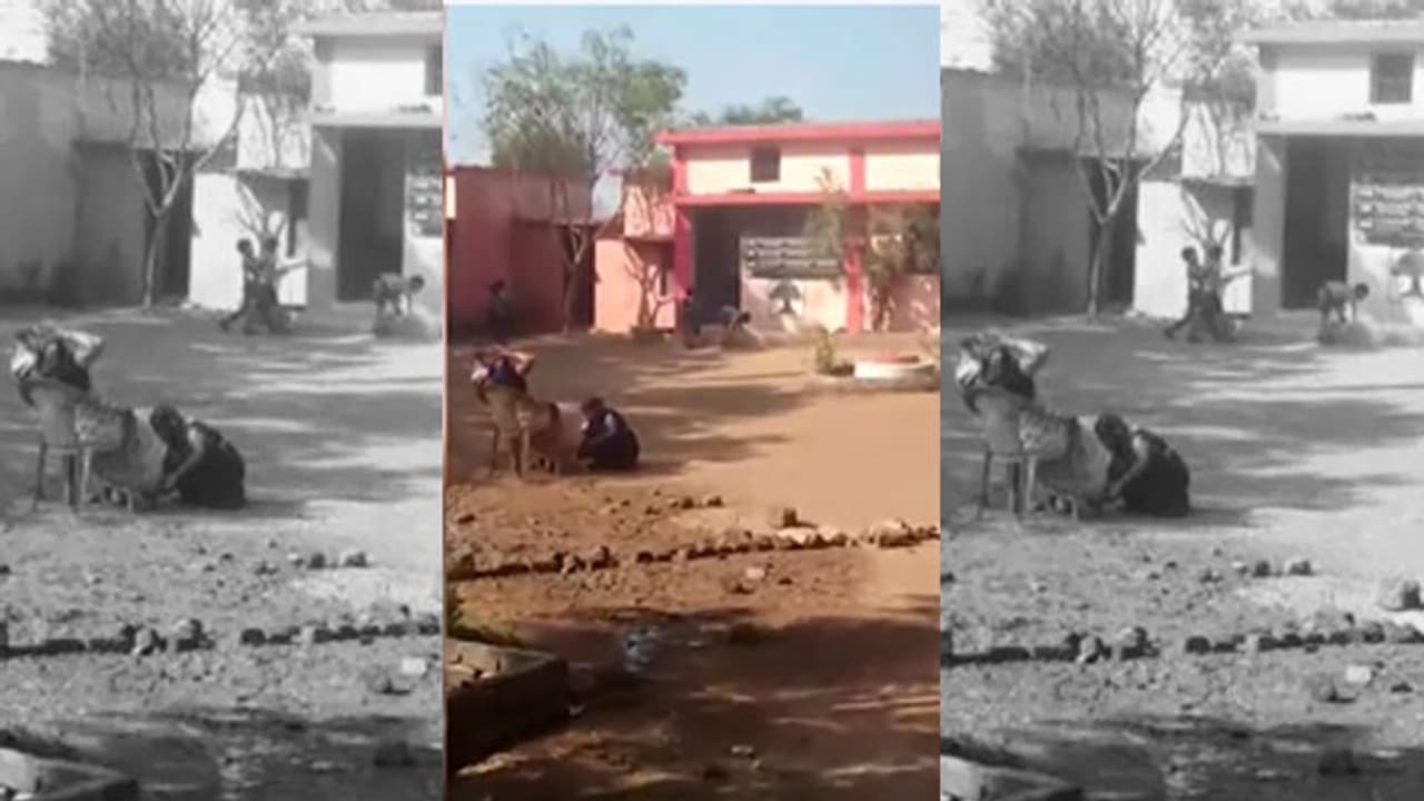 कुर्सी पर महारानी बनकर बैठी रहीं प्रिंसिपल मैडम और सेविका बनकर पैरों के नाखून काटती रही छात्रा कुर्सी पर महारानी बनकर बैठी रहीं प्रिंसिपल मैडम और सेविका बनकर पैरों के नाखून काटती रही छात्रा