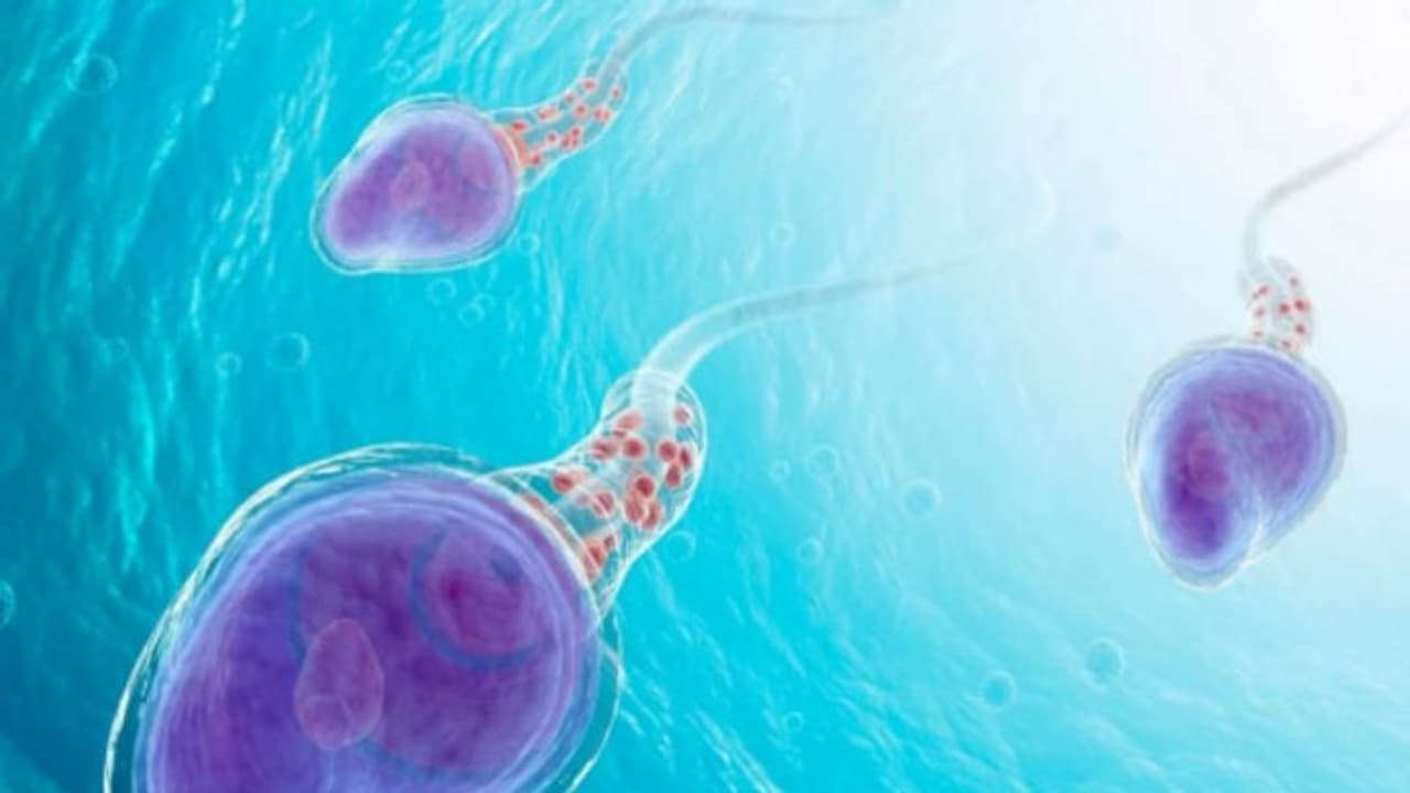 'പുരുഷന്മാരോടൊപ്പം സ്വിമ്മിംഗ് പൂളില് നീന്തിയാല് ഗര്ഭധാരണം നടക്കാം';വിവാദമായി പ്രസ്താവന 'പുരുഷന്മാരോടൊപ്പം സ്വിമ്മിംഗ് പൂളില് നീന്തിയാല് ഗര്ഭധാരണം നടക്കാം';വിവാദമായി പ്രസ്താവന