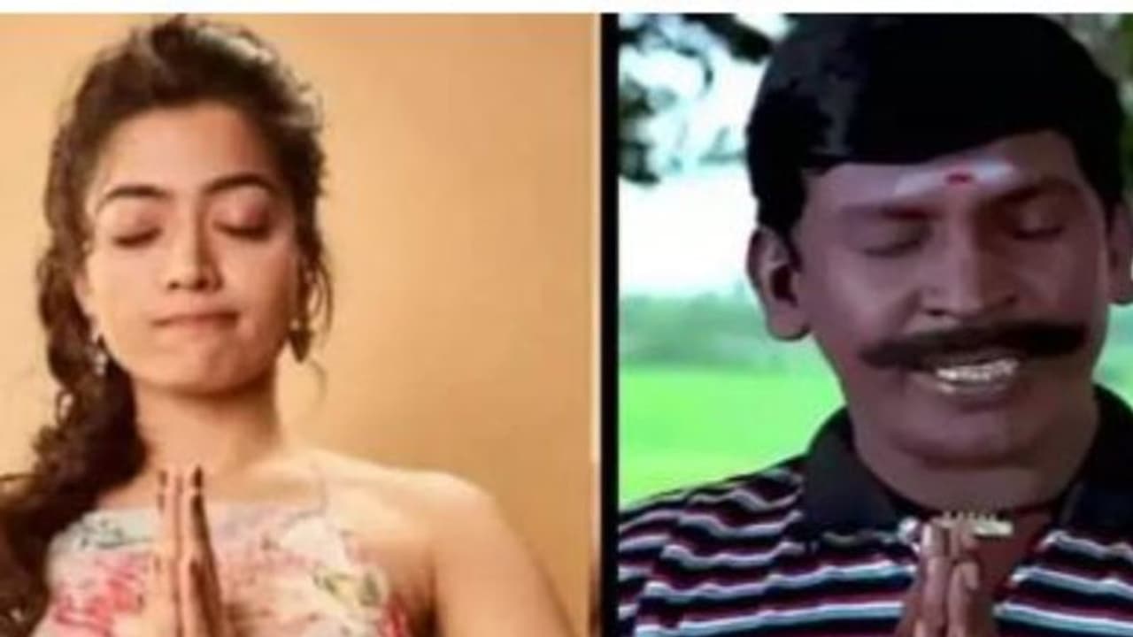 ചിത്രങ്ങള് പങ്കുവച്ച് രശ്മിക; വടിവേലു ട്രോളാക്കി ആരാധകര് ചിത്രങ്ങള് പങ്കുവച്ച് രശ്മിക; വടിവേലു ട്രോളാക്കി ആരാധകര്