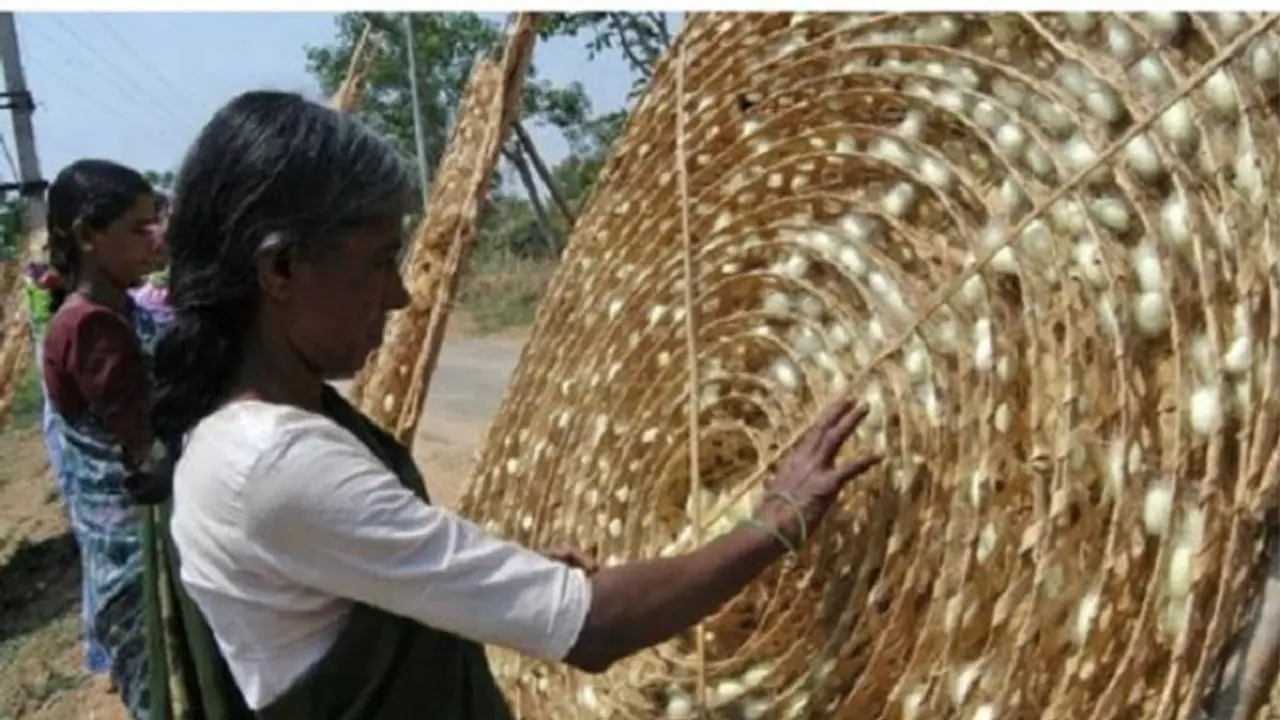 ಕೈಗೆ ಬಂದ ತುತ್ತು ಬಾಯಿಗೆ ಬರದಂತಾದ ರೈತರ ಬದುಕು: ಸಂಕಷ್ಟದಲ್ಲಿ ಅನ್ನದಾತ