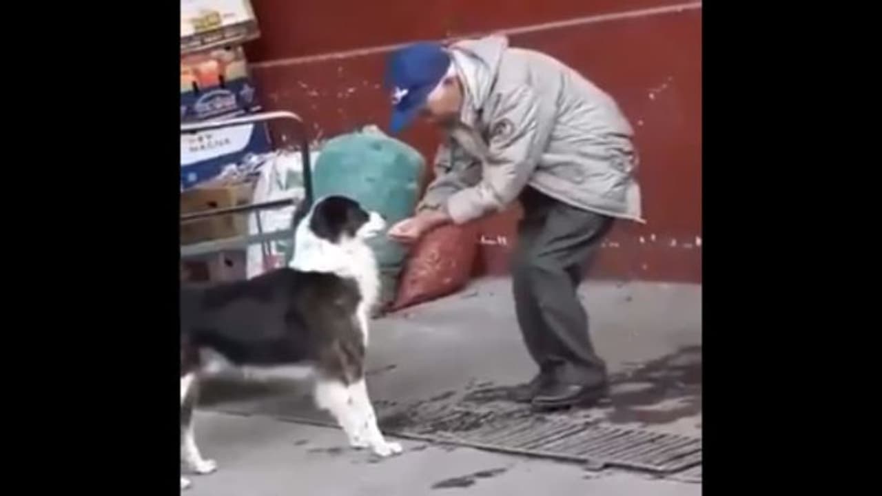 'അലിവുള്ളവരായിരിക്കുക'; 19 സെക്കന്ഡ് കൊണ്ട് ജീവിതം പഠിപ്പിക്കുന്ന വീഡിയോ... 'അലിവുള്ളവരായിരിക്കുക'; 19 സെക്കന്ഡ് കൊണ്ട് ജീവിതം പഠിപ്പിക്കുന്ന വീഡിയോ...