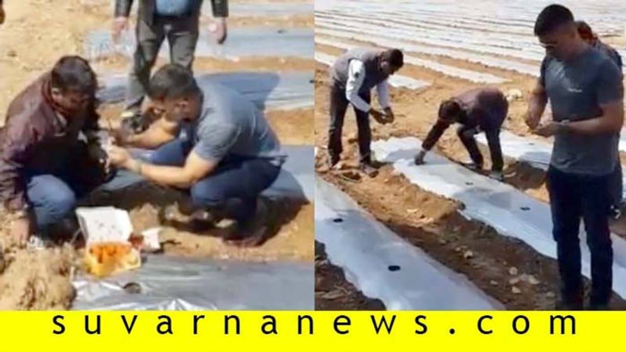 IPL ಆರಂಭಕ್ಕೂ ಮುನ್ನ ಕೃಷಿಕನಾಗಿ ಬದಲಾದ MS ಧೋನಿ IPL ಆರಂಭಕ್ಕೂ ಮುನ್ನ ಕೃಷಿಕನಾಗಿ ಬದಲಾದ MS ಧೋನಿ